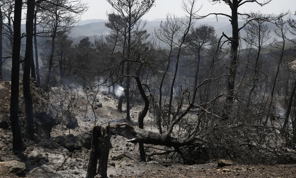  Για το 80% των καμένων δασικών εκτάσεων το 2023 ευθύνεται μόλις το 3% από τις πυρκαγιές